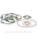 JUNTAS CILINDRO MHR TEAM II / 7 TRANSFER MINARELLI HORIZONTAL MALOSSI R: 1113209C