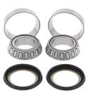 KIT DE RODAMIENTOS Y RETENES COLUMNA DE DIRECCIÓN HONDA CB 250 / NSR 125 ALL BALLS R: 221002