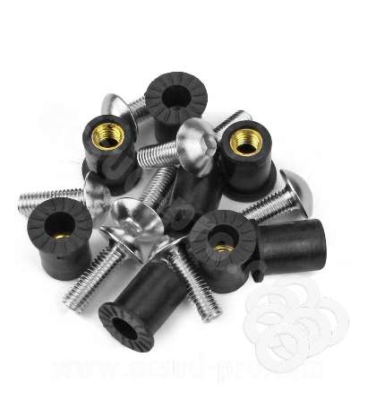 KIT TORNILLOS CUPULA MOTOCICLETA PLATA ( 8 PIEZAS ) TNT R: 171005A