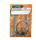 JUEGO DE JUNTAS COMPLETO RIEJU RV 50 C.C. AGUA ARTEIN R: J0000RV000289