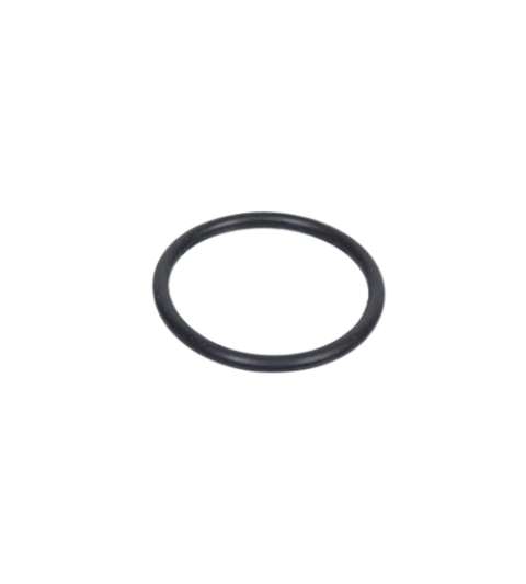 ANILLO TORICO D. 25,07 X 2 X 62 VITON ( JUNTA ESCAPE AM 6 ) R: RJ55301759