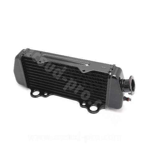 RADIADOR BETA 50 RR ( DESDE 2005 ) TNT R: 093600G