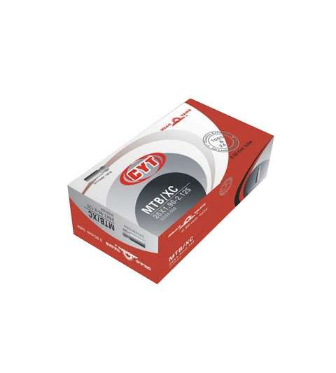 CAMARA 29 X 2.00-2.20 VALVULA AMERICANA - CHAOYANG - R: 30 570 2300