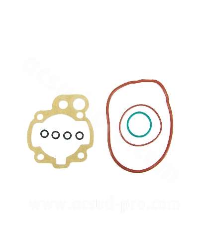 KIT JUNTAS CILINDRO MINANELLI AM 6 ( ANTERIOR 2000 ) TNT R: 071820