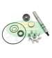 KIT REPARACIÓN BOMBA AGUA KYMCO X CITING 500 TOP PERFOMANCES R: AA00840