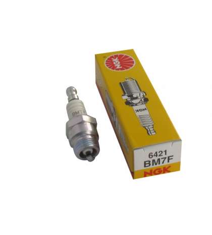 BUJIA NGK BM7F R: 6421
