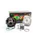 EQUIPO MOTOR MINARELLI HORIZONTAL AIRE 50 CC. TOP PERFORMANCES R: 9931140