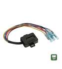 SMART CHEAT-BOX, RESISTENCIA CON CENTRALITA CON SELECTORES PARA LA ELIMINACIÓN DE ERRORES - 12V R: 91618