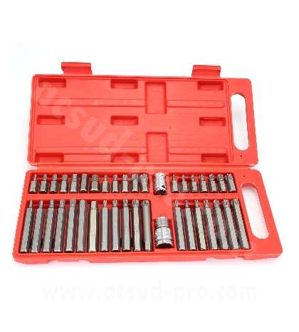 CAJA 40 PUNTAS TORX Y BTR R: 549795L