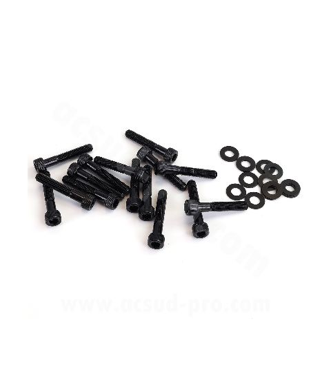 KIT TORNILLERIA CARTER PIAGGIO TYPHOON / NRG / VESPA LX - NEGROS - R: 171020A