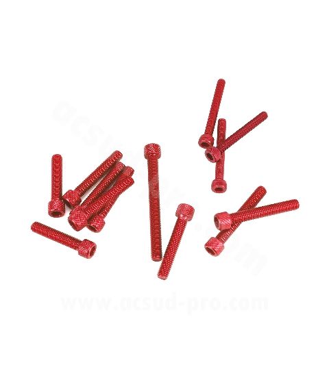 KIT TORNILLERIA ROJA CARTER DERBI EURO 3 /4 ( 13 PIEZAS ) R: 171007