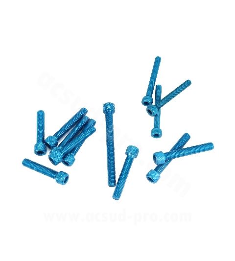 KIT TORNILLERIA AZUL CARTER DERBI EURO 3 /4 ( 13 PIEZAS ) R: 171007A
