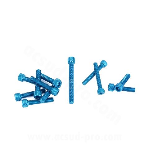 KIT TORNILLERIA CARTER AM6 ROJO 12 PIEZAS R: 171006A