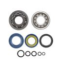 KIT RODAMIENTOS Y RETENES CIGUEÑAL VESPA ET3 125, PRIMAVERA 125 R: 10 020 0830