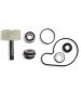 KIT REPARACIÓN BOMBA AGUA SUZUKI BURGMAN 125 02/16 - TECNIUM - R: 8000