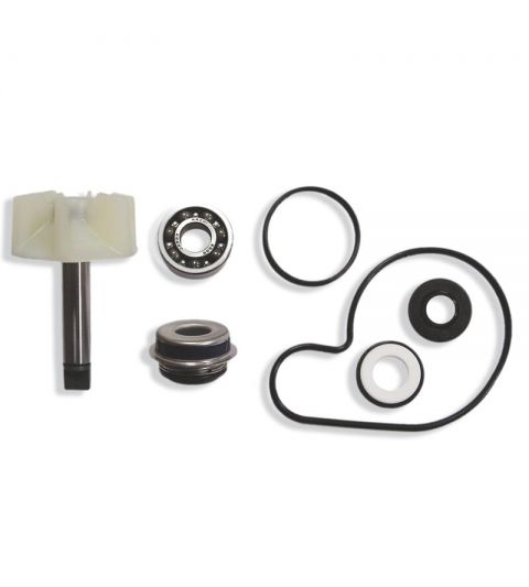 KIT REPARACIÓN BOMBA AGUA SUZUKI BURGMAN 125 02/16 - TECNIUM - R: 8000