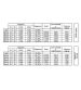 CAJA DE CAMBIOS DERBI E2 / E3 RF- WR EVOLUTION 2021 BIDALOT R: 33000351