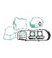 JUEGO COMPLETO DE JUNTAS MOTOR PEUGEOT TWEET 125-150 CC. - RMS - R: 100689881
