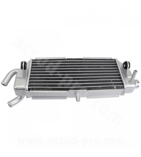 RADIADOR YAMAHA X MAX 125 C.C. 2006-2009 R: 093601D