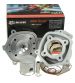 EQUIPO MOTOR TEAM MHR MALOSSI BIG BORE D. 50 CON CÚLATIN R: 3112988