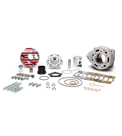 EQUIPOMOTOR MALOSSI TESTA ROSSA 100 C.C. CARTER FL MINARELLI AM6 R: 3118679