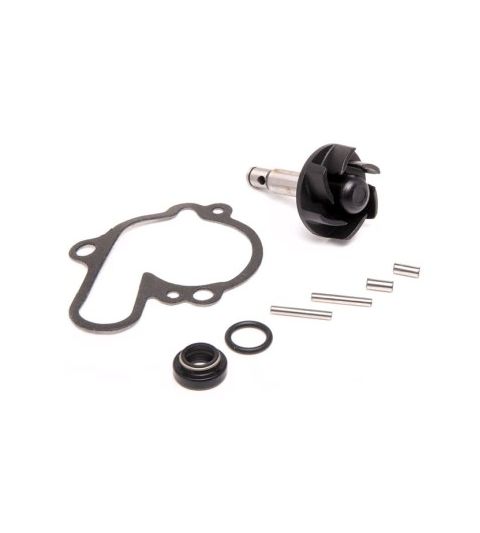 KIT REPARACIÓN BOMBA H2O MINARELLI AM6 - METRAKIT - R: 990R0310