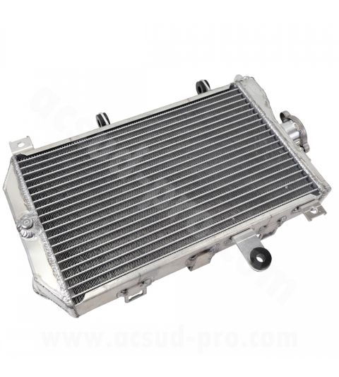 RADIADOR SUZUKI BURGMAN 650 CC. / AN 650 C.C. 2013-2018 R: 093601F
