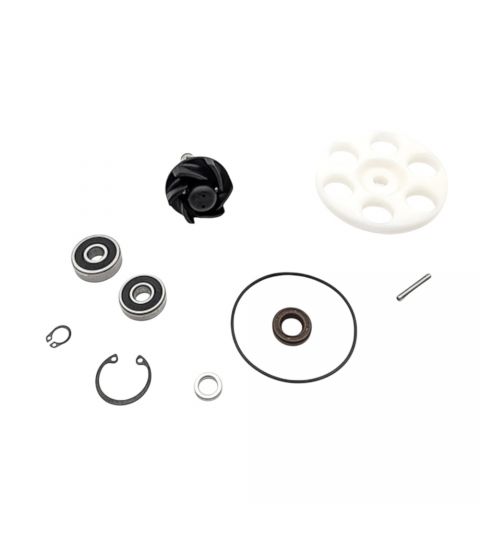 KIT REPARACION BOMBA DE AGUA " TOP PERFORMANCES " MINARELLI HORIZONTAL ( SOLO PARA BOMBAS TOP 993790 ) R: AA00845