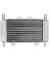RADIADOR PIAGGIO ZIP LC / DNA / RUNNER 50 C.C. R: 093600E