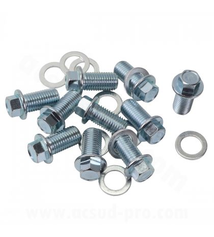 TAPON DE ACEITE 4 TIEMPOS (HONDA SH 300 CC. / FORZA 250-300 CC. / SH 350 CC. / ADV 350 CC. / FORZA 350 CC. ( 10PCS ) R: 625000C