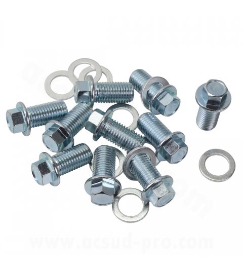 TAPON DE ACEITE 4 TIEMPOS (HONDA SH 300 CC. / FORZA 250-300 CC. / SH 350 CC. / ADV 350 CC. / FORZA 350 CC. ( 10PCS ) R: 625000C