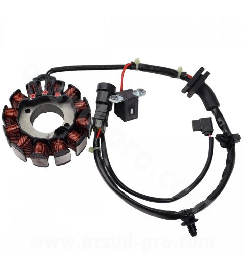 VOLANTE COMPLETO PIAGGIO ZIP 4T 2018 / LIBERTY 4T 2015 / PRIMAVERA 4T 2018 / SPRINT 2020 R: 180310P