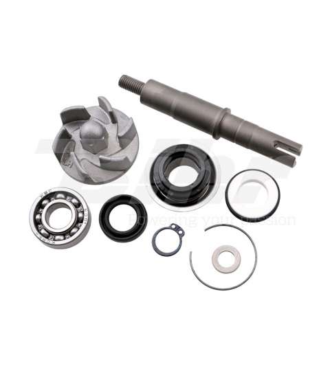 KIT REPARACIÓN BOMBA AGUA DAELIM 2012 - TECNIUM - R: 14723