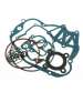 JUEGO DE JUNTAS PARA MOTOR - MINARELLI AM6 (HASTA 2000) (INCL JUNTA CULATA DE METAL) - ARTEIN - R: J0000MN000406