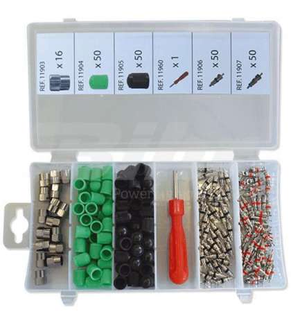 CAJA SURTIDO DE TAPONES Y OBUSES PARA NEUMATICOS R: 87023