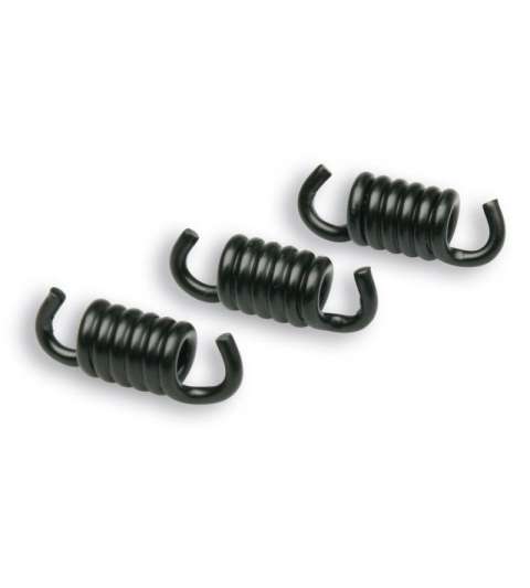 MUELLES EMBRAGUE DELTA CLUTCH NEGROS MALOSSI R: 298745S