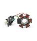 STATOR AM 6 ORIGINAL DUCATI R: 631968490