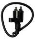 BOBINA 12V 0,30 OHM - 2 FASTONS KYMCO MOVIE 125, HONDA DYLAN 125 R: 04124741