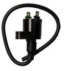 BOBINA 12V 0,30 OHM - 2 FASTONS KYMCO MOVIE 125, HONDA DYLAN 125 R: 04124741
