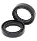 KIT RETENES HORQUILLA 35 X 48 X 11 - ALL BALLS - R: 32531