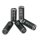 JUEGO DE 6 MUELLES PARA DISCOS EMBRAGUE APRILIA RS 125 EBC R: CSK190