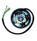 VOLANTE MAGNETICO 4 POLOS SUZUKI ADDRESS, DERBI VARIANT REVOLUTION LEONELLI R: 04163587