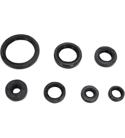 KIT ( 7 PIEZAS ) RETENES DE MOTOR MINARELLI HORIZONTAL Y VERTICAL ARTEIN R: KR000MN2R0420
