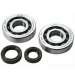 KIT RODAMIENTOS Y RETENES CIGUEÑAL AM 6 RACING CARENZI NTN R: 100011