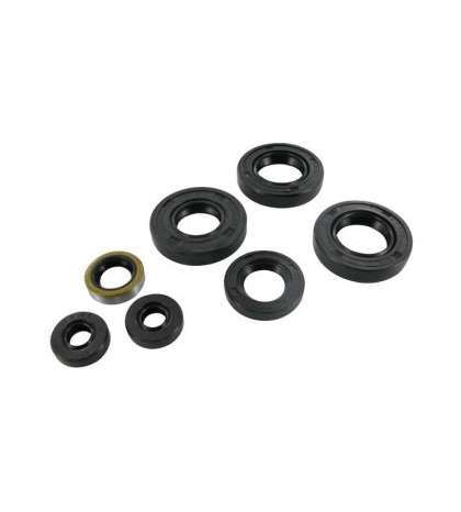 KIT DE RETENES MOTOR COMPLETO DERBI/PIAGGIO MARCHAS 06 ARTEIN R: KR000DB2R0700