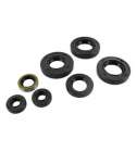 KIT DE RETENES MOTOR COMPLETO DERBI/PIAGGIO MARCHAS 06 ARTEIN R: KR000DB2R0700