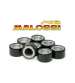 JUEGO DE RODILLOS 25 X 15 16 GRAMOS MALOSSI R: 6613561.E0