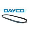 CORREA YAMAHA AEROX 50 DAYCO 7167/1 R: DV81-7167/1