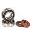 KIT RODAMIENTOS CIGUEÑAL IBC GERMANY THB 6204 TB P6 C3 Y RETENES VITÓN ( COMPETICIÓN - DERBI SENDA EURO 2/3 R: 100013