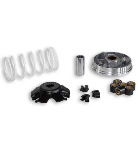 VARIADOR HONDA SH 100 / BALI 100 MALOSSI R: 5111364